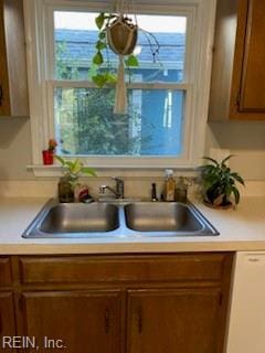 kitchen featuring dishwasher, plenty of natural light, and sink