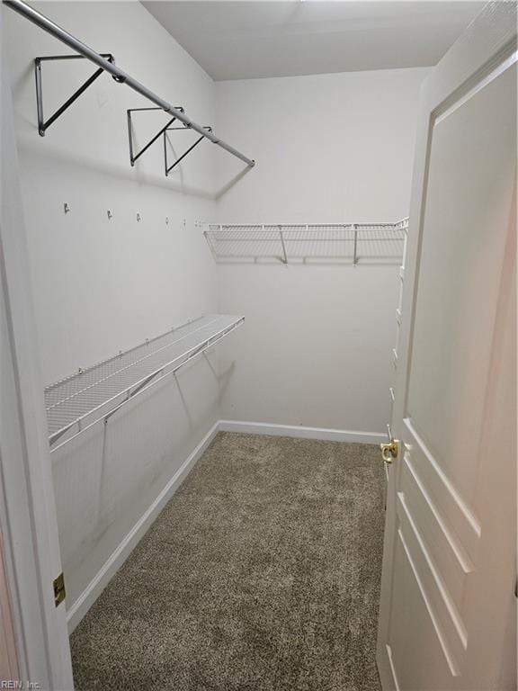 walk in closet featuring dark carpet