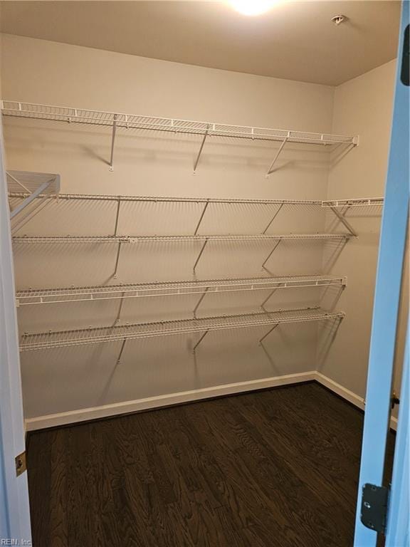 spacious closet with hardwood / wood-style floors