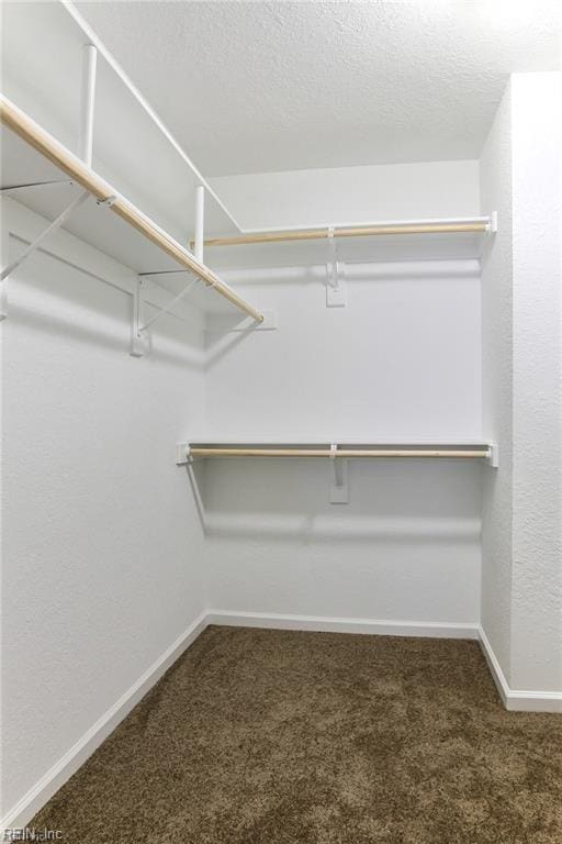 spacious closet with dark colored carpet