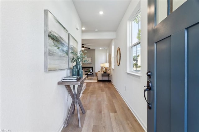 foyer featuring light hardwood / wood-style floors and ceiling fan