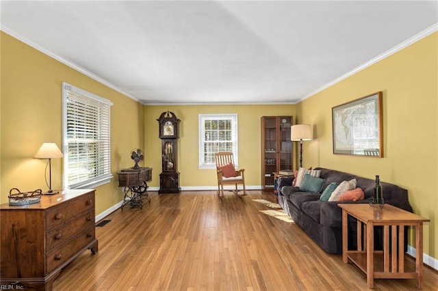 living room with crown molding and wood-type flooring