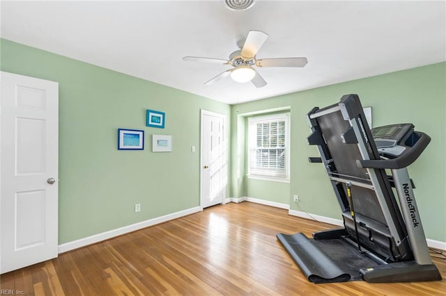 workout room featuring hardwood / wood-style floors and ceiling fan