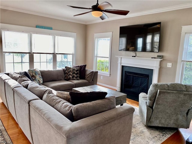 living room featuring ornamental molding, light hardwood / wood-style flooring, and plenty of natural light