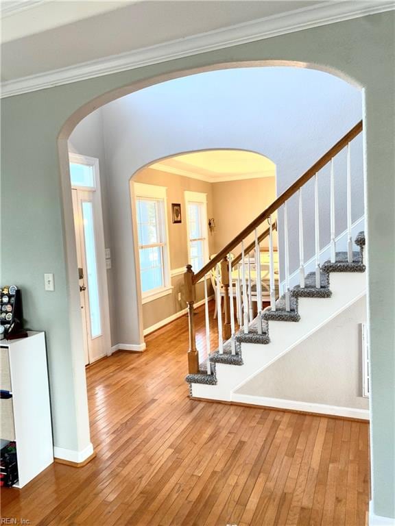 foyer featuring ornamental molding and hardwood / wood-style flooring