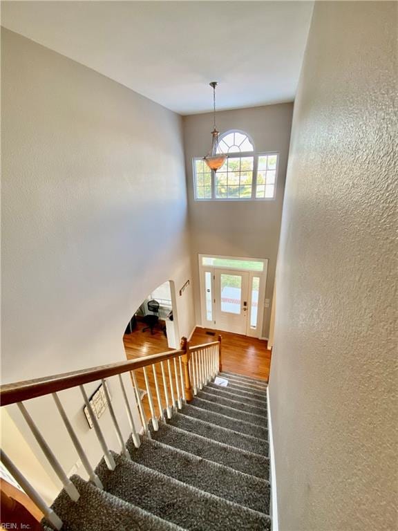 stairway with carpet