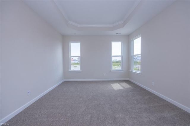 spare room featuring carpet floors, a raised ceiling, a wealth of natural light, and crown molding