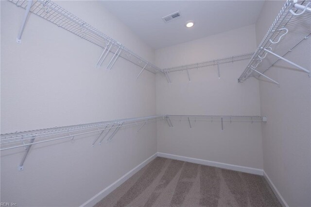 spacious closet with carpet