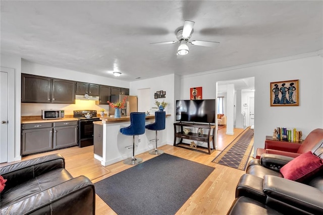 living room featuring light wood-type flooring and ceiling fan