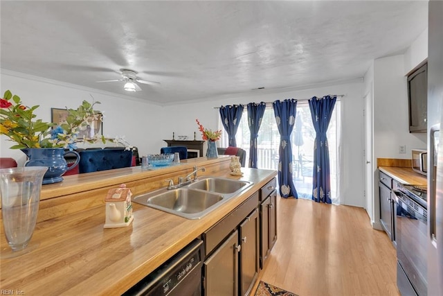 kitchen featuring ceiling fan, stainless steel appliances, light hardwood / wood-style floors, crown molding, and sink