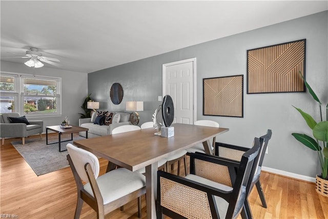 dining area with ceiling fan and light wood-type flooring