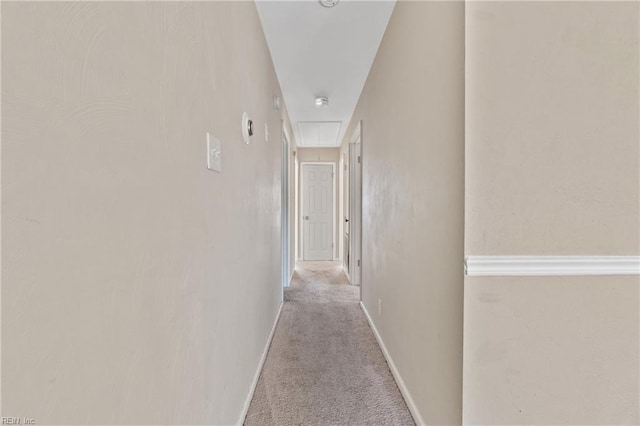 hallway featuring light colored carpet