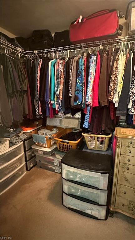 spacious closet featuring carpet