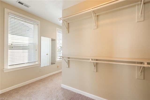 walk in closet with carpet flooring