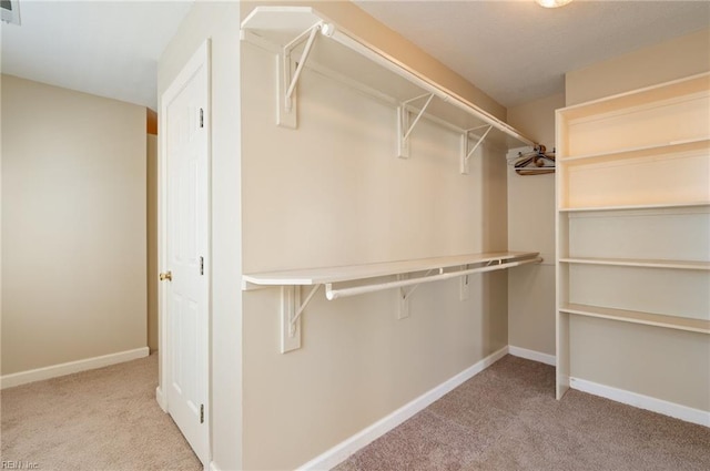 walk in closet with light colored carpet