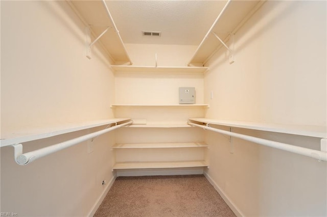 walk in closet with light colored carpet