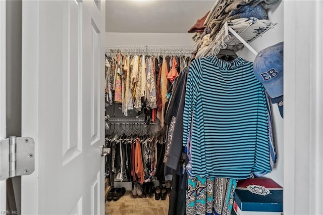 walk in closet with carpet