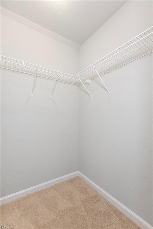 spacious closet featuring carpet floors