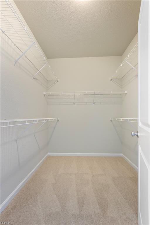 walk in closet featuring carpet flooring