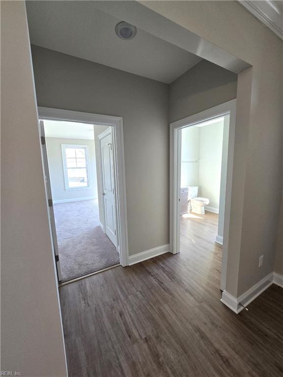 hallway featuring dark hardwood / wood-style floors