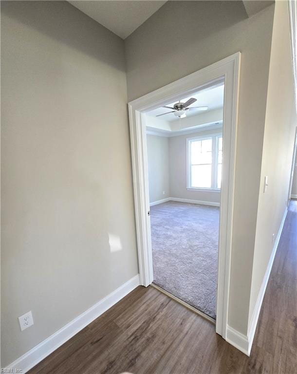 corridor featuring dark hardwood / wood-style floors