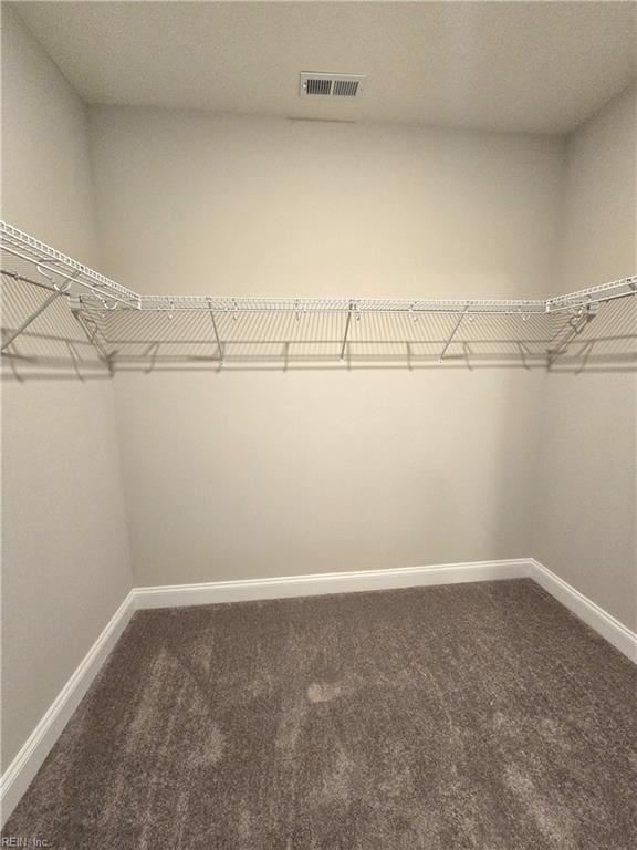 walk in closet featuring carpet flooring