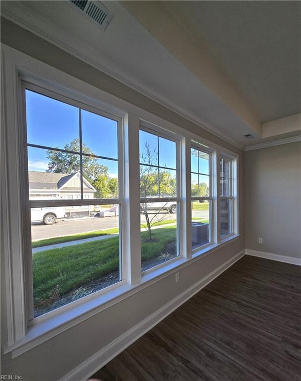 spare room featuring a raised ceiling, dark wood-type flooring, and crown molding