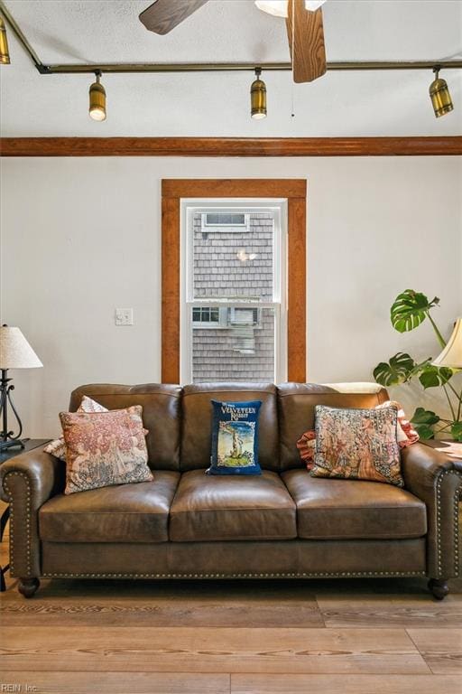 living room featuring light wood-type flooring and ceiling fan