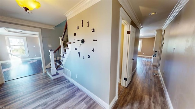 hall with crown molding and dark hardwood / wood-style flooring