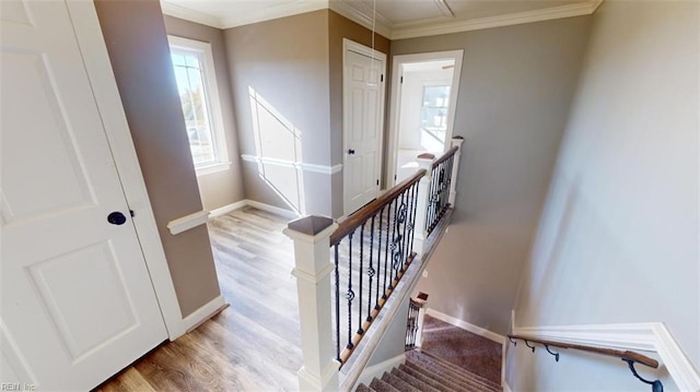 stairs with ornamental molding and wood-type flooring