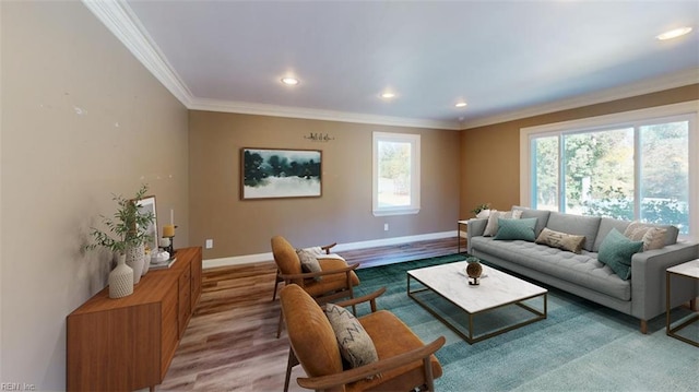 living room featuring crown molding and wood-type flooring