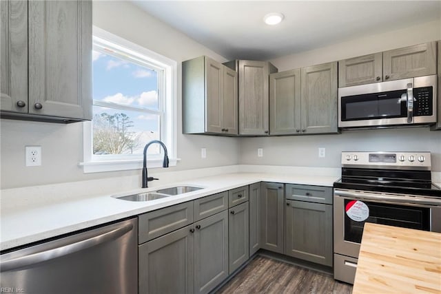 kitchen with gray cabinets, sink, dark wood-type flooring, and stainless steel appliances