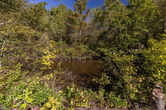 view of landscape featuring a water view