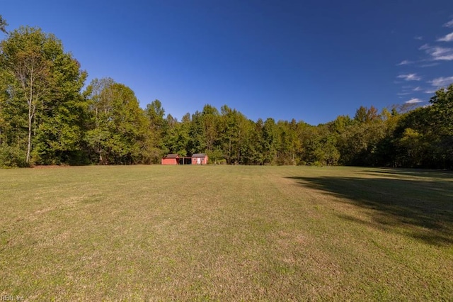 view of yard with a storage shed