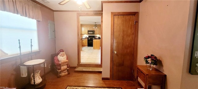 corridor featuring wood-type flooring, electric panel, and crown molding