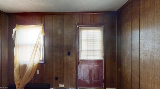 doorway to outside featuring wood walls