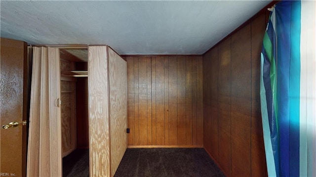 interior space with dark carpet and wooden walls