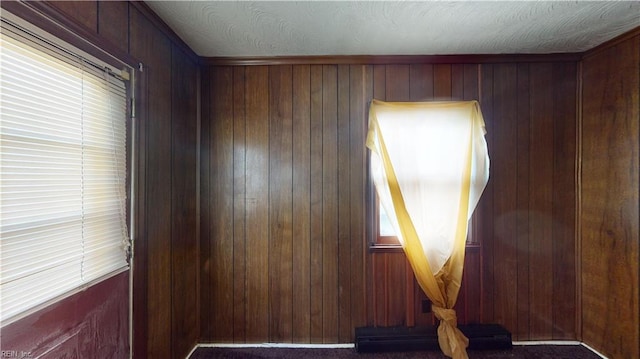 spare room featuring wooden walls and dark colored carpet