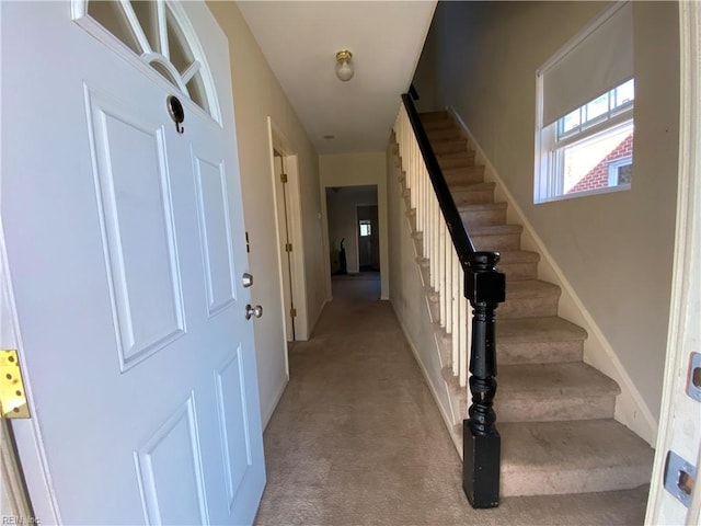 staircase featuring carpet flooring