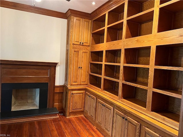 wine cellar featuring dark hardwood / wood-style flooring