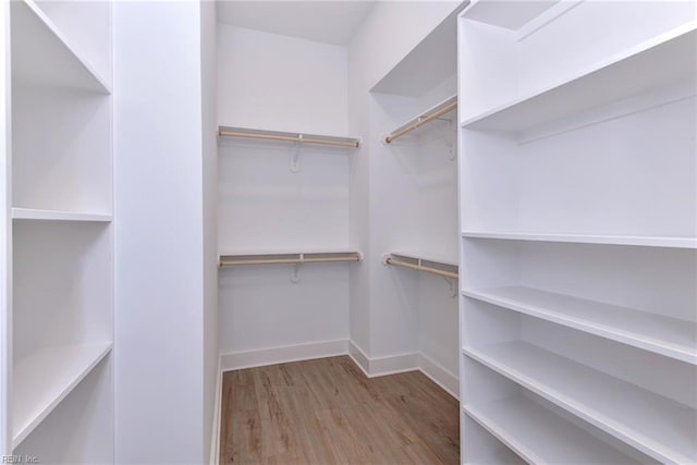 spacious closet featuring light hardwood / wood-style flooring