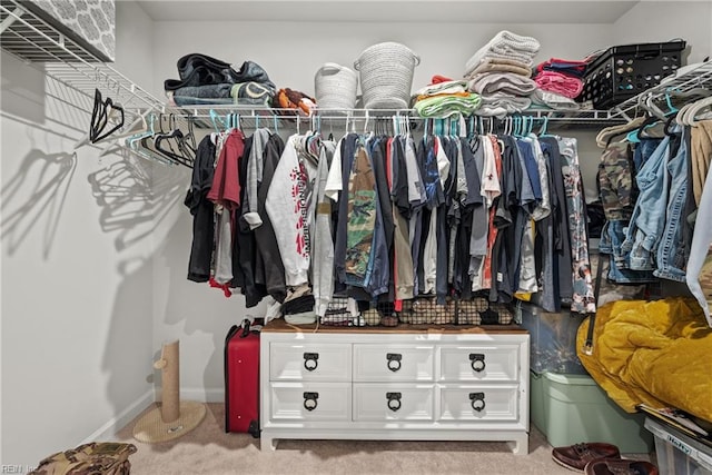 walk in closet with light colored carpet