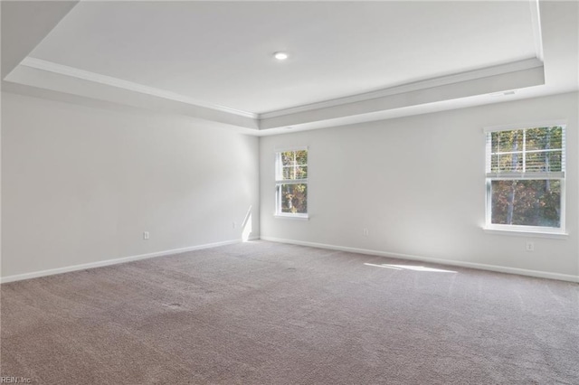 carpeted spare room with plenty of natural light, crown molding, and a raised ceiling