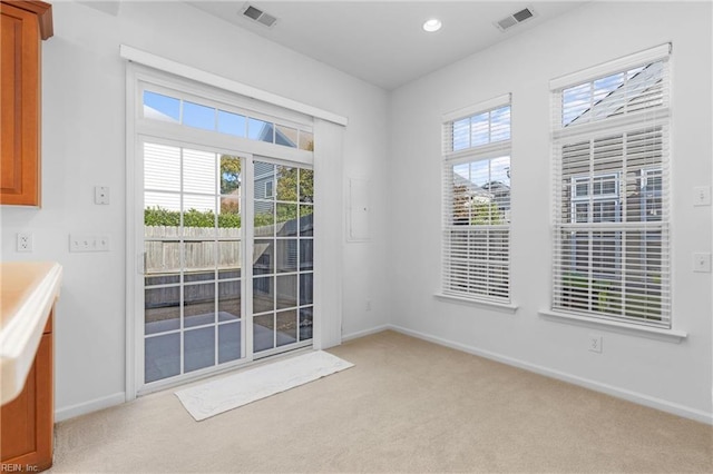 interior space with light colored carpet