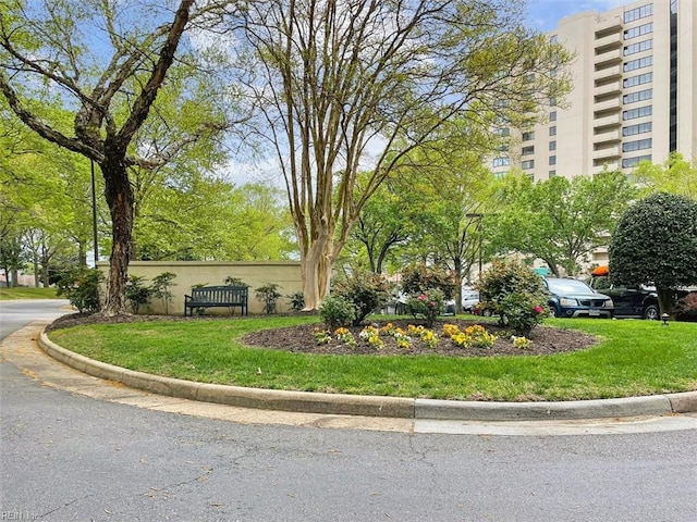 view of home's community with a yard