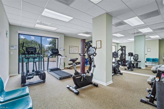 gym featuring carpet and a paneled ceiling