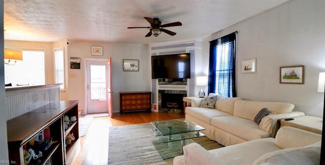 living room with ceiling fan, a healthy amount of sunlight, and light hardwood / wood-style flooring