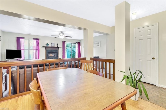 dining area with ceiling fan, a textured ceiling, light wood-type flooring, and plenty of natural light