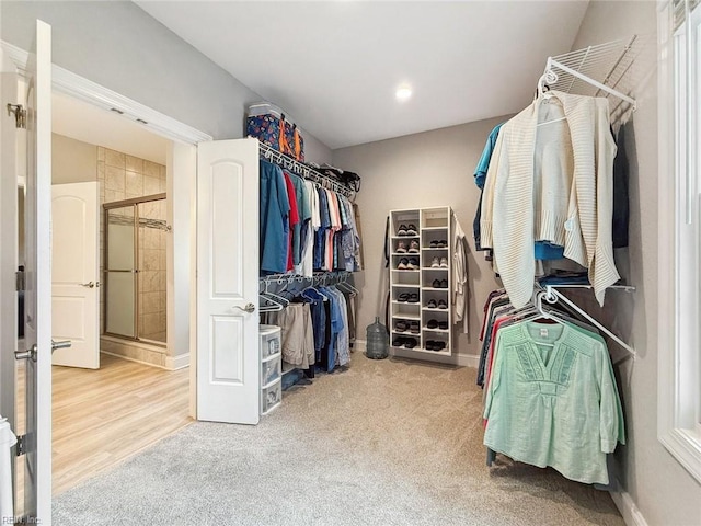 walk in closet with hardwood / wood-style floors