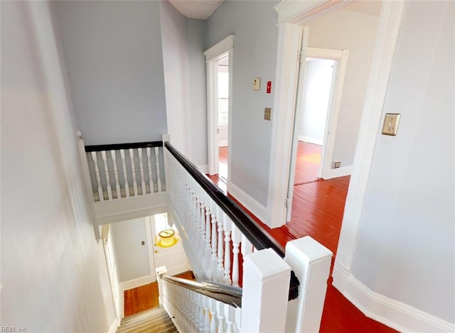 stairway with hardwood / wood-style floors